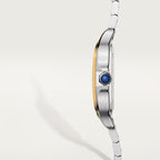 Cartier Santos Two-Tone