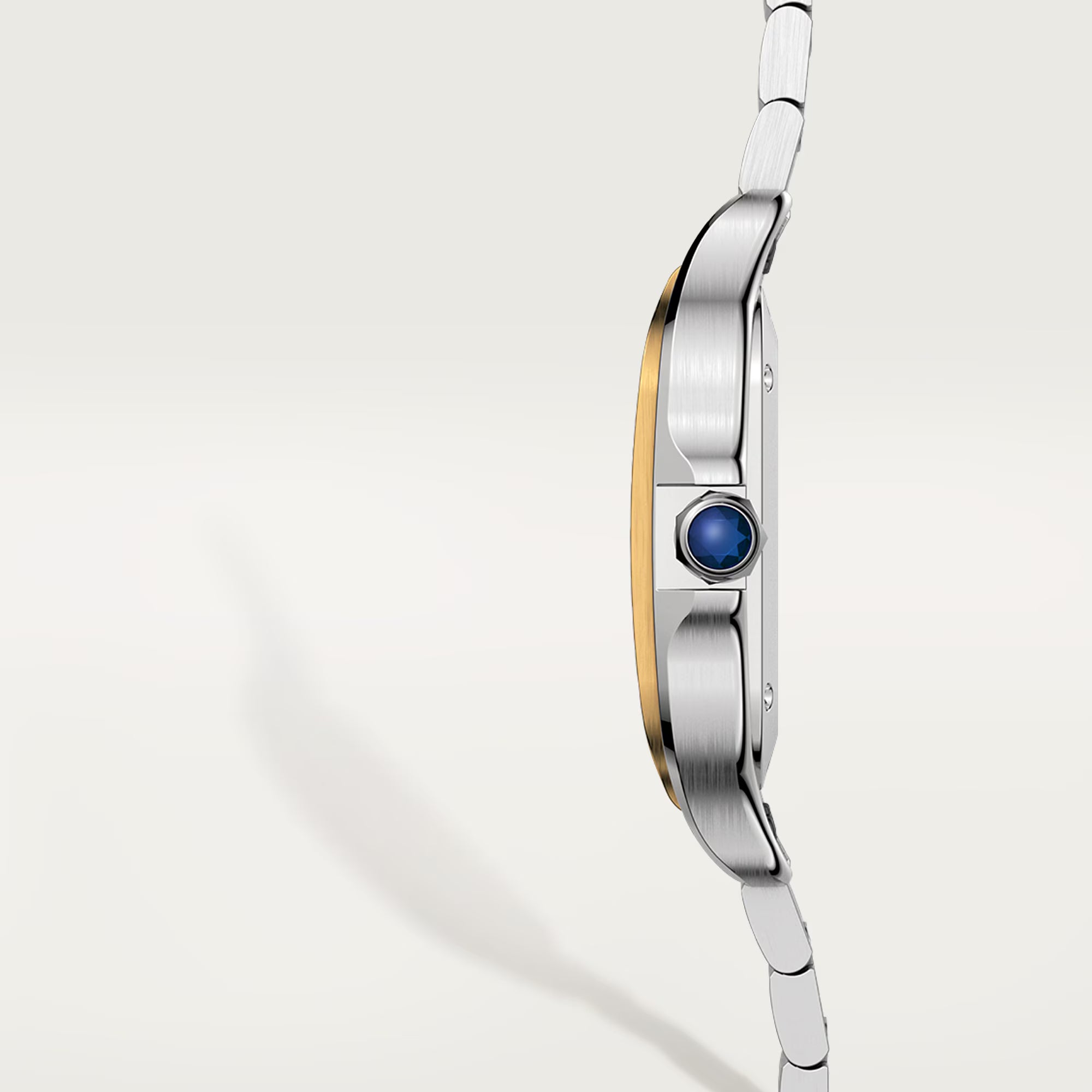 Cartier Santos Two-Tone