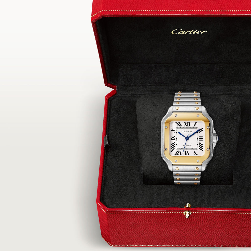 Cartier Santos Two-Tone