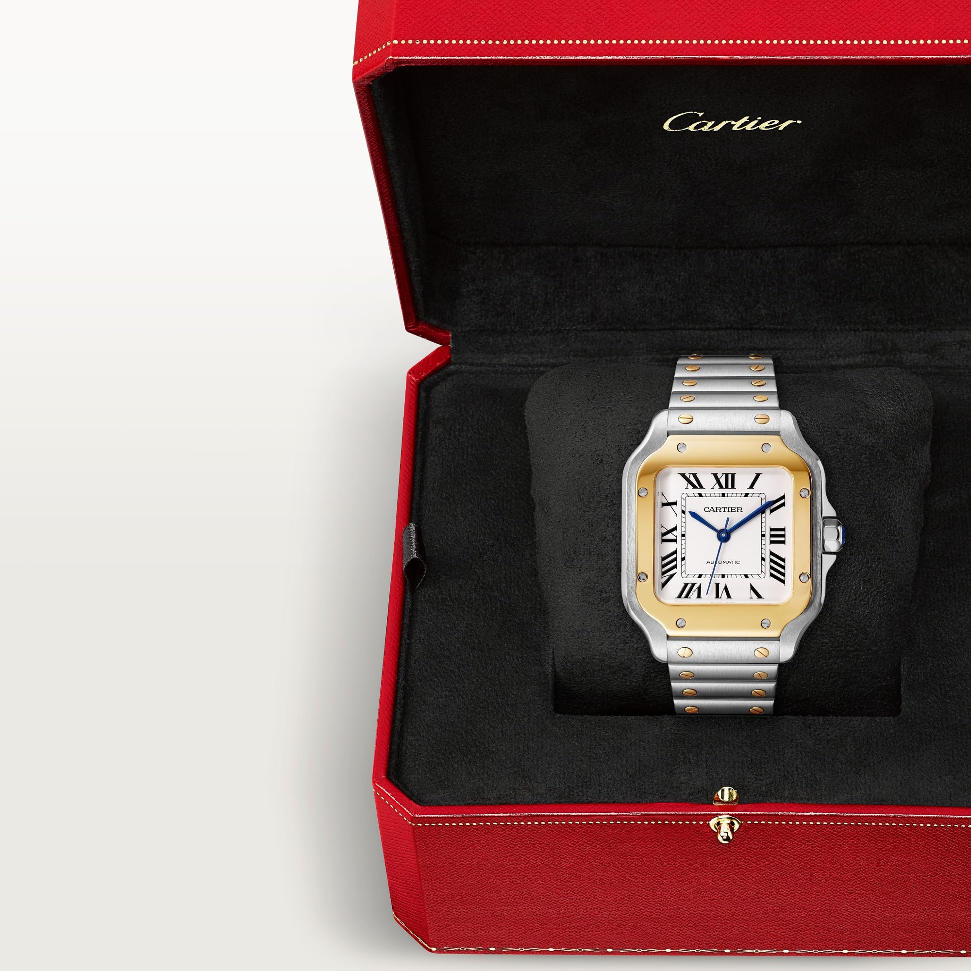 Cartier Santos Two-Tone