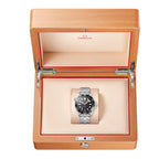 Omega Seamaster Diver 300M